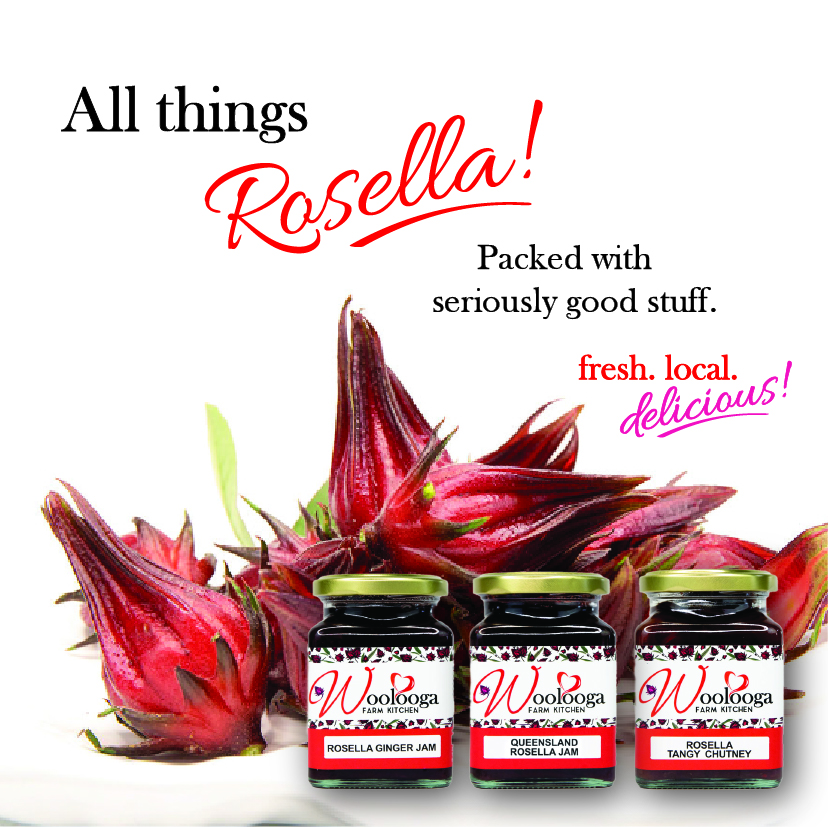 WFK-Gift-box-backer-rosella-tiles